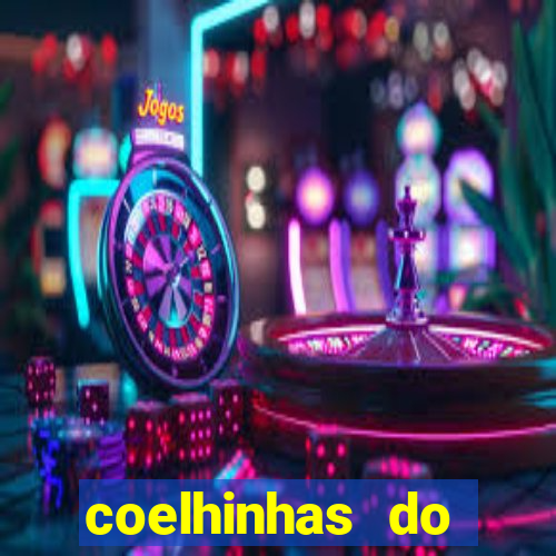 coelhinhas do brasil recife